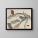 Natural History of Saint-Domingue Pl174 - René de Rabi — framed artwork on a wall