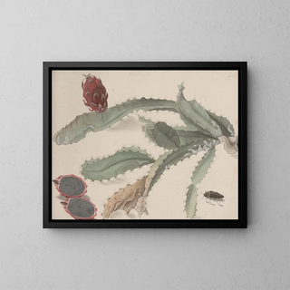 Natural History of Saint-Domingue Pl174 - René de Rabi — framed artwork on a wall
