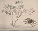 Natural History of Saint-Domingue Pl175 - René de Rabi — artwork view