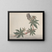 Natural History of Saint-Domingue Pl178 - René de Rabi — framed artwork on a wall