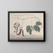 Natural History of Saint-Domingue Pl180 - René de Rabi — framed artwork on a wall