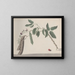 Natural History of Saint-Domingue Pl181 - René de Rabi — framed artwork on a wall