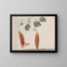 Natural History of Saint-Domingue Pl185 - René de Rabi — framed artwork on a wall