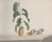 Natural History of Saint-Domingue Pl186 - René de Rabi — artwork view