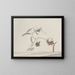Histoire naturelle de Saint-Domingue Pl188 - René de Rabi — framed artwork on a wall