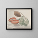 Natural History of Saint-Domingue Pl191 - René de Rabi — framed artwork on a wall