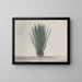 Natural History of Saint-Domingue Pl192 - René de Rabi — framed artwork on a wall