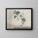 Natural History of Saint-Domingue Pl193 - René de Rabi — framed artwork on a wall