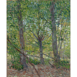 Reproduction Arbres - Vincent van Gogh