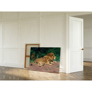 Reproduction Lions au repos - Wilhelm Kuhnert