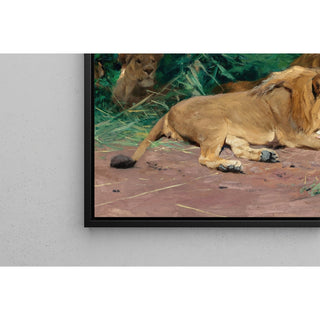 Reproduction Lions au repos - Wilhelm Kuhnert
