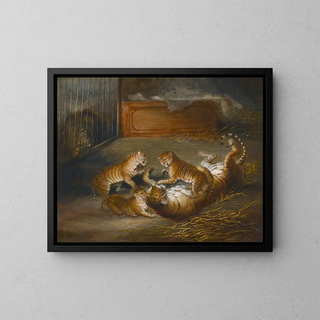 Three lion cubs ligers raised between a lion and a tigress at the royal menagerie - Richard Barrett Davis — framed artwork on a wall