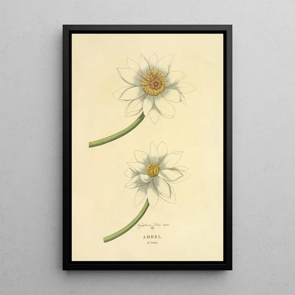 Indian Amber Painting - Richard Duppa — framed artwork on a wall