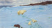 Games in the Snow - Richard Friese — artwork view