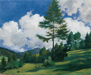 Motif à Toblach - Richard Harlfinger — artwork view