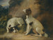 Two Springer Spaniels in a Rocky Landscape - Richard Livesay — artwork view