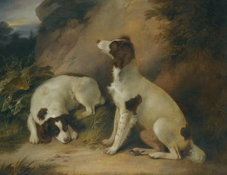Two Springer Spaniels in a Rocky Landscape - Richard Livesay — artwork view