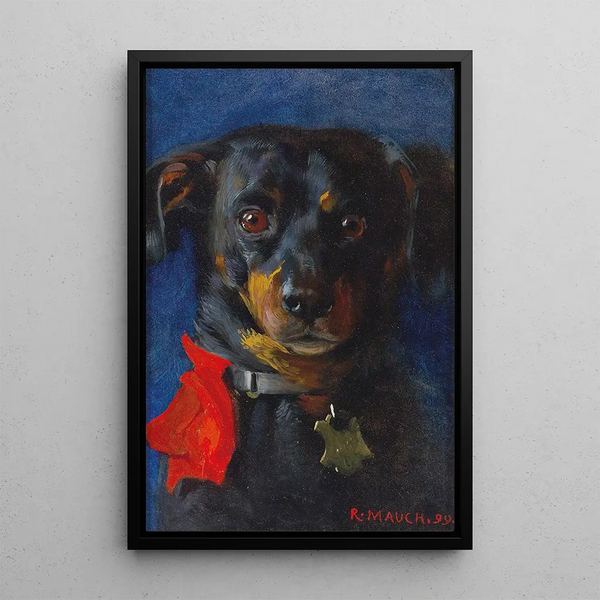 The Red Knot - Richard Mauch — framed artwork on a wall
