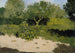 Corner of the Garden with Nasturtiums - Richard Nicolas Roland Holst — artwork view