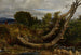 The disturbed heron - Richard Redgrave — artwork view