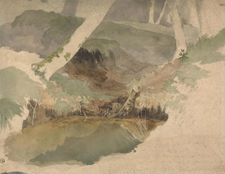 Forest Basin Painting - Robert Hills — artwork view