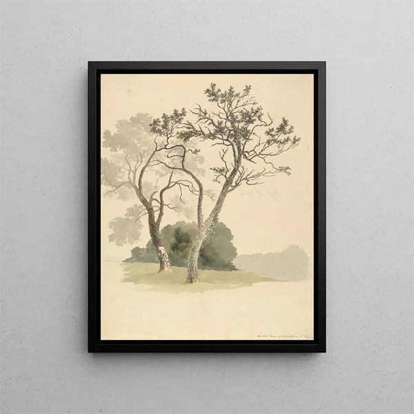 Trees of the Orchard at Under River near Knole - Robert Hills — framed artwork on a wall
