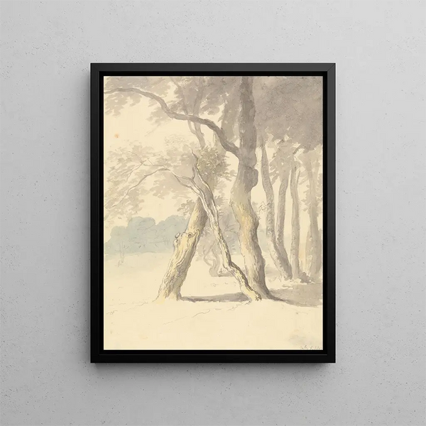 Study of Woods - Robert Hills — framed artwork on a wall