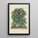 Papilio demodocus Christmas butterfly on an unidentified plant - Robert Jacob Gordon — framed artwork on a wall