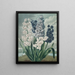 Hyacinths - Robert John Thornton — framed artwork on a wall