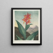Indian Reed Painting - Robert John Thornton — framed artwork on a wall