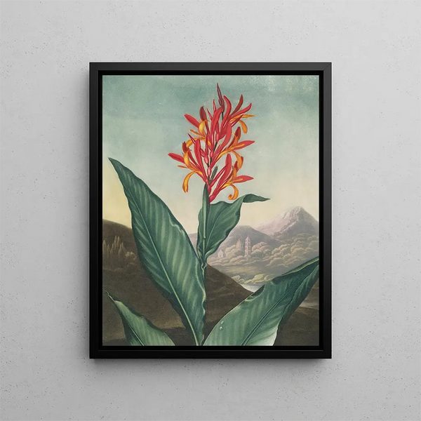 Indian Reed Painting (conflict of case) - Robert John Thornton — framed artwork on a wall