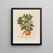 Orange Painting - Robert John Thornton — framed artwork on a wall