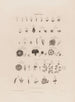 Orders - Robert John Thornton — artwork view