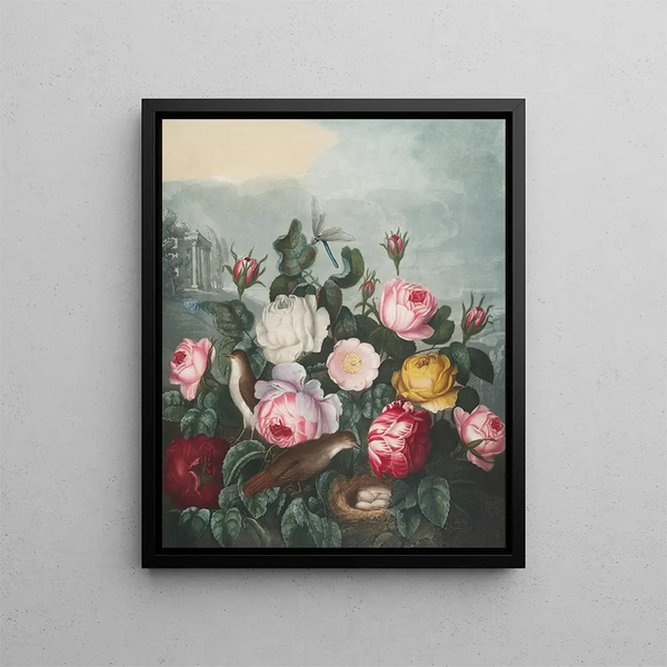 Roses - Robert John Thornton — framed artwork on a wall