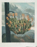 L'Aloès - Robert John Thornton — artwork view