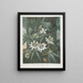 La Fleur de la passion bleue - Robert John Thornton — framed artwork on a wall