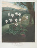 The Cyclamen of Persia - Robert John Thornton — artwork view