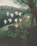 The Cyclamen of Persia - Robert John Thornton — artwork view