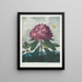 Le Rhododendron pontique - Robert John Thornton — framed artwork on a wall