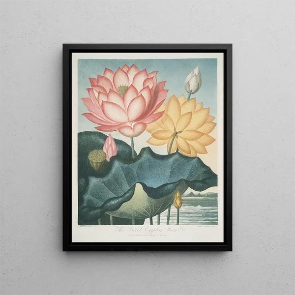 The Sacred Egyptian Bean - Robert John Thornton — framed artwork on a wall