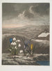The Snowdrop - Robert John Thornton — artwork view
