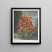 The Magnificent Lily - Robert John Thornton — framed artwork on a wall