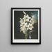 Le Lys blanc aux feuilles panachées - Robert John Thornton — framed artwork on a wall