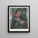 La Passiflore ailée - Robert John Thornton — framed artwork on a wall