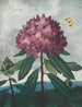 The Pontic Rhododendron - Robert John Thornton — artwork view
