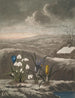 Le Perce-neige - Robert John Thornton — artwork view