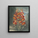 The Superb Lily - Robert John Thornton — framed artwork on a wall