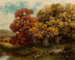Foliage of the Adirondacks - Robert Melvin Decker — artwork view