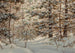 Winter Pine Painting - Robert Melvin Decker — artwork view
