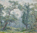 Saules anciens - Robert Reid — artwork view